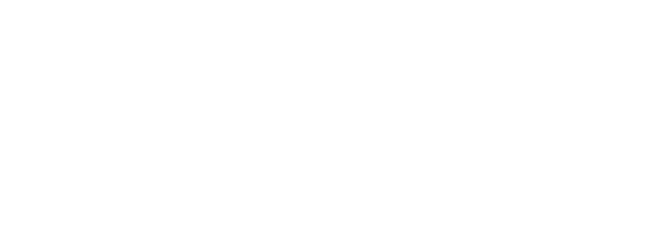 President Watch Co